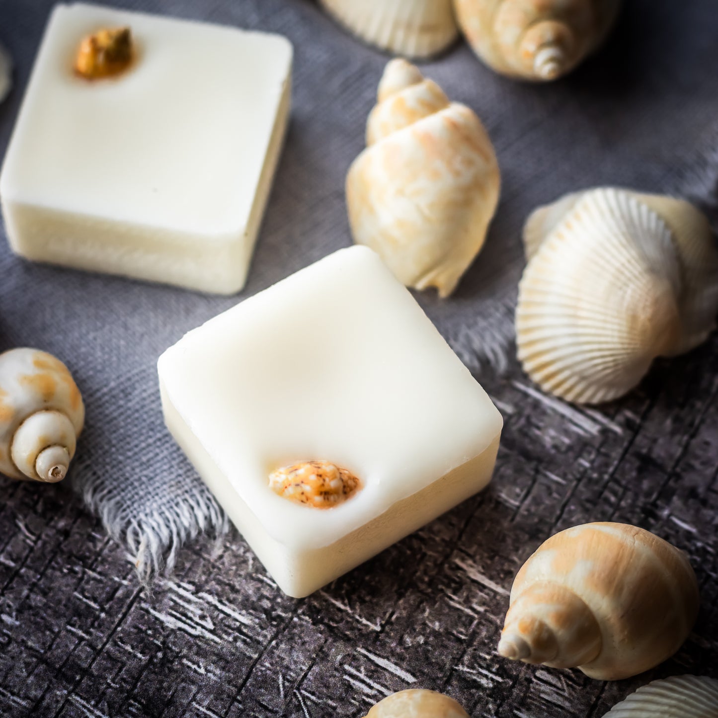 Ocean Drive Wax Melts -Experience the invigorating scent of ocean breeze, saltwater mist, and a hint of tropical flowers. Transform your space into a seaside oasis with these exquisite wax melts, perfect for creating a relaxing and rejuvenating ambiance