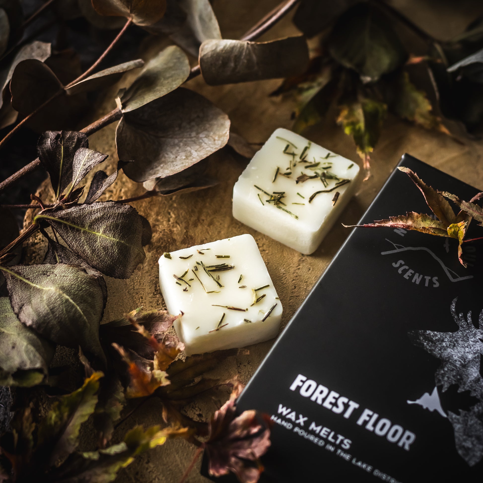 Forest Floor Wax Melts – Northern Soul Scents