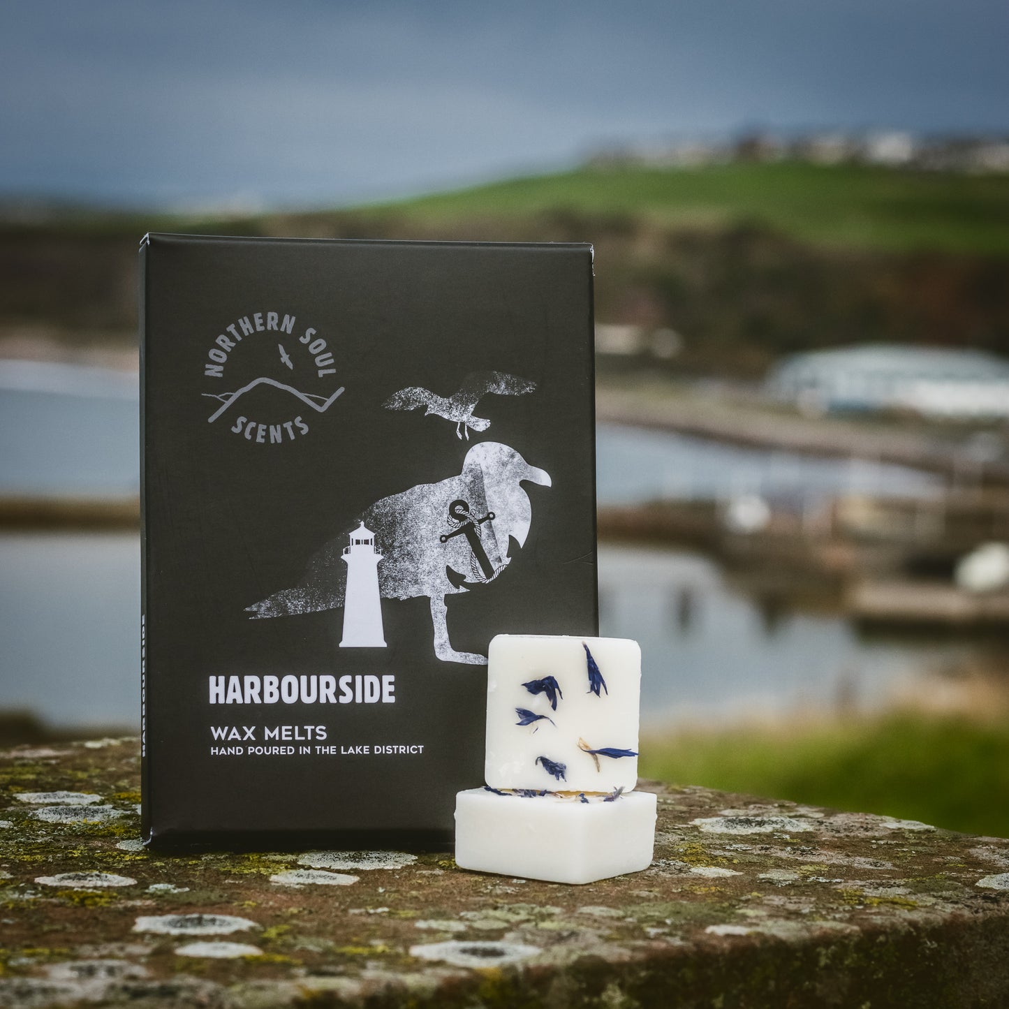 Harbourside Scented Wax Melts: Immerse yourself in the coastal charm of a harbourside with these captivating scented wax melts. Carefully packaged in a plastic-free wax paper bag and enclosed in a cardboard sleeve adorned with a delightful seagull and lighthouse design on the front, these melts evoke the serenity of a seaside retreat. Each wax cube is delicately adorned with dried botanicals, reminiscent of coastal flora